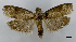  ( - ASTOR-11-0493)  @14 [ ] Unspecified (default): All Rights Reserved  Unspecified Unspecified