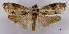  ( - ASTOR-11-0494)  @14 [ ] Unspecified (default): All Rights Reserved  Unspecified Unspecified