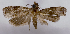 ( - ASTOR-11-0495)  @13 [ ] Unspecified (default): All Rights Reserved  Unspecified Unspecified