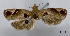  ( - ASTOR-11-0501)  @11 [ ] Unspecified (default): All Rights Reserved  Unspecified Unspecified