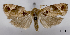  ( - ASTOR-11-0502)  @13 [ ] Unspecified (default): All Rights Reserved  Unspecified Unspecified
