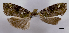  ( - ASTOR-11-0509)  @11 [ ] Unspecified (default): All Rights Reserved  Unspecified Unspecified