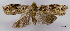  ( - ASTOR-11-0510)  @12 [ ] Unspecified (default): All Rights Reserved  Unspecified Unspecified
