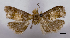  ( - ASTOR-11-0543)  @12 [ ] Unspecified (default): All Rights Reserved  Unspecified Unspecified