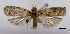  ( - ASTOR-11-0552)  @11 [ ] Unspecified (default): All Rights Reserved  Unspecified Unspecified