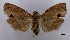  ( - ASTOR-11-0553)  @13 [ ] Unspecified (default): All Rights Reserved  Unspecified Unspecified