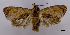  ( - ASTOR-11-0555)  @13 [ ] Unspecified (default): All Rights Reserved  Unspecified Unspecified