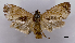  ( - ASTOR-11-0558)  @13 [ ] Unspecified (default): All Rights Reserved  Unspecified Unspecified