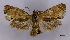  ( - ASTOR-11-0560)  @13 [ ] Unspecified (default): All Rights Reserved  Unspecified Unspecified