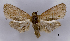  ( - ASTOR-11-0561)  @13 [ ] Unspecified (default): All Rights Reserved  Unspecified Unspecified