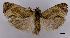  ( - ASTOR-11-0562)  @13 [ ] Unspecified (default): All Rights Reserved  Unspecified Unspecified