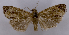  ( - ASTOR-11-0564)  @13 [ ] Unspecified (default): All Rights Reserved  Unspecified Unspecified