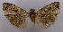  ( - ASTOR-11-0565)  @12 [ ] Unspecified (default): All Rights Reserved  Unspecified Unspecified