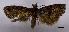  ( - ASTOR-11-0570)  @12 [ ] Unspecified (default): All Rights Reserved  Unspecified Unspecified