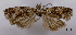  ( - ASTOR-11-0571)  @11 [ ] Unspecified (default): All Rights Reserved  Unspecified Unspecified