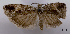  ( - ASTOR-11-0572)  @11 [ ] Unspecified (default): All Rights Reserved  Unspecified Unspecified