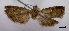  ( - ASTOR-11-0584)  @11 [ ] Unspecified (default): All Rights Reserved  Unspecified Unspecified