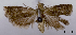  ( - ASTOR-11-0585)  @11 [ ] Unspecified (default): All Rights Reserved  Unspecified Unspecified