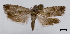  ( - ASTOR-11-0594)  @11 [ ] Unspecified (default): All Rights Reserved  Unspecified Unspecified