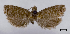  ( - ASTOR-11-0596)  @11 [ ] Unspecified (default): All Rights Reserved  Unspecified Unspecified