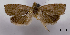  ( - ASTOR-11-0597)  @11 [ ] Unspecified (default): All Rights Reserved  Unspecified Unspecified