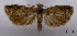 ( - ASTOR-11-0608)  @11 [ ] Unspecified (default): All Rights Reserved  Unspecified Unspecified