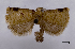  ( - ASTOR-11-0624)  @11 [ ] Unspecified (default): All Rights Reserved  Unspecified Unspecified