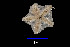  ( - JR15005_2376.3)  @11 [ ] Unspecified (default): All Rights Reserved  Unspecified Unspecified
