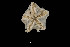  ( - JR15005_2005.5)  @11 [ ] Unspecified (default): All Rights Reserved  Unspecified Unspecified