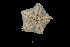  ( - JR15005_2005.7)  @11 [ ] Unspecified (default): All Rights Reserved  Unspecified Unspecified