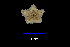  ( - 48-01-P4)  @11 [ ] Unspecified (default): All Rights Reserved  Unspecified Unspecified