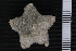  ( - JR230_271)  @11 [ ] Unspecified (default): All Rights Reserved  Unspecified Unspecified