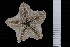  ( - JR230_271)  @11 [ ] Unspecified (default): All Rights Reserved  Unspecified Unspecified