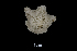  ( - ACE ASCCC 0887.1)  @11 [ ] Unspecified (default): All Rights Reserved  Unspecified Unspecified