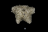  ( - ACE ASCCC 0834.2)  @11 [ ] Unspecified (default): All Rights Reserved  Unspecified Unspecified