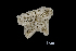  ( - ACE ASCCC 0834.2)  @11 [ ] Unspecified (default): All Rights Reserved  Unspecified Unspecified