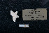  ( - ACE ASCCC 0820.1)  @11 [ ] Unspecified (default): All Rights Reserved  Unspecified Unspecified
