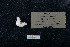  ( - ACE ASCCC 0820.2)  @11 [ ] Unspecified (default): All Rights Reserved  Unspecified Unspecified