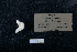  ( - ACE ASCCC 0820.2)  @11 [ ] Unspecified (default): All Rights Reserved  Unspecified Unspecified