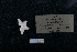  ( - ACE ASCCC 0820.3)  @11 [ ] Unspecified (default): All Rights Reserved  Unspecified Unspecified