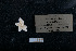  ( - ACE ASCCC 0820.3)  @11 [ ] Unspecified (default): All Rights Reserved  Unspecified Unspecified
