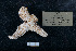  ( - ACE ASCCC 0272.2)  @11 [ ] Unspecified (default): All Rights Reserved  Unspecified Unspecified