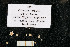  ( - JR275_EBS_40.4)  @11 [ ] Unspecified (default): All Rights Reserved  Unspecified Unspecified
