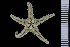  ( - S151-MT1-4)  @11 [ ] Unspecified (default): All Rights Reserved  Unspecified Unspecified