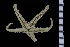 ( - S151-MT1-5)  @11 [ ] Unspecified (default): All Rights Reserved  Unspecified Unspecified