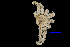 ( - JR15005_1297.18)  @11 [ ] Unspecified (default): All Rights Reserved  Unspecified Unspecified