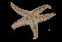  ( - PTK5_13.11)  @11 [ ] Unspecified (default): All Rights Reserved  Unspecified Unspecified