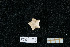  ( - PTK8_133.2)  @11 [ ] Unspecified (default): All Rights Reserved  Unspecified Unspecified