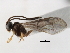  ( - 06-PROBE-4383)  @11 [ ] CreativeCommons - Attribution (2010) Unspecified Centre for Biodiversity Genomics