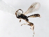  ( - 06-PROBE-4445)  @13 [ ] CreativeCommons - Attribution (2010) Unspecified Centre for Biodiversity Genomics